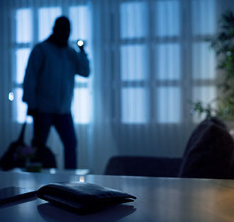 burglar in home, professional home security camera installation