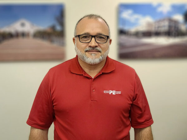 Palmer Electric Domingo Senespleda