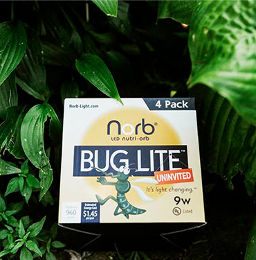 Dusk to Dawn Outdoor Yellow LED Bug Light Bulb