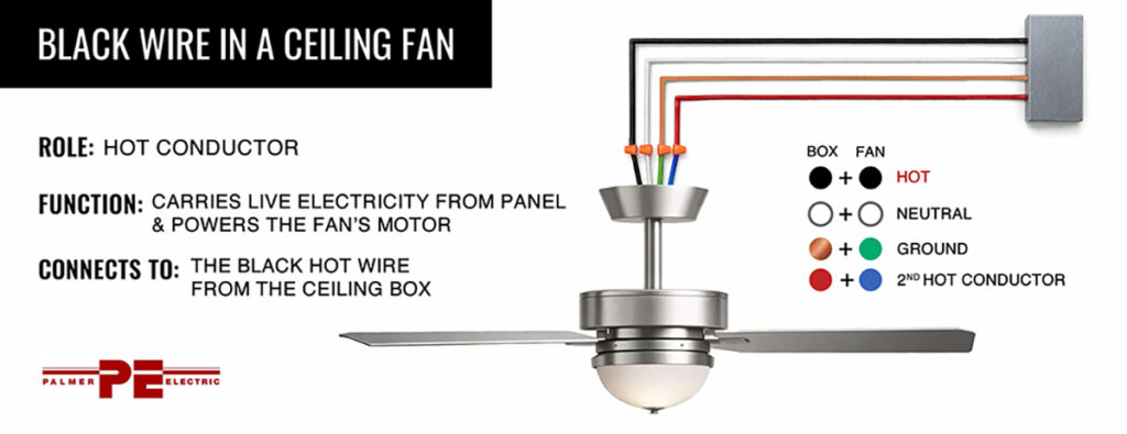 Black Wire in a Ceiling Fan