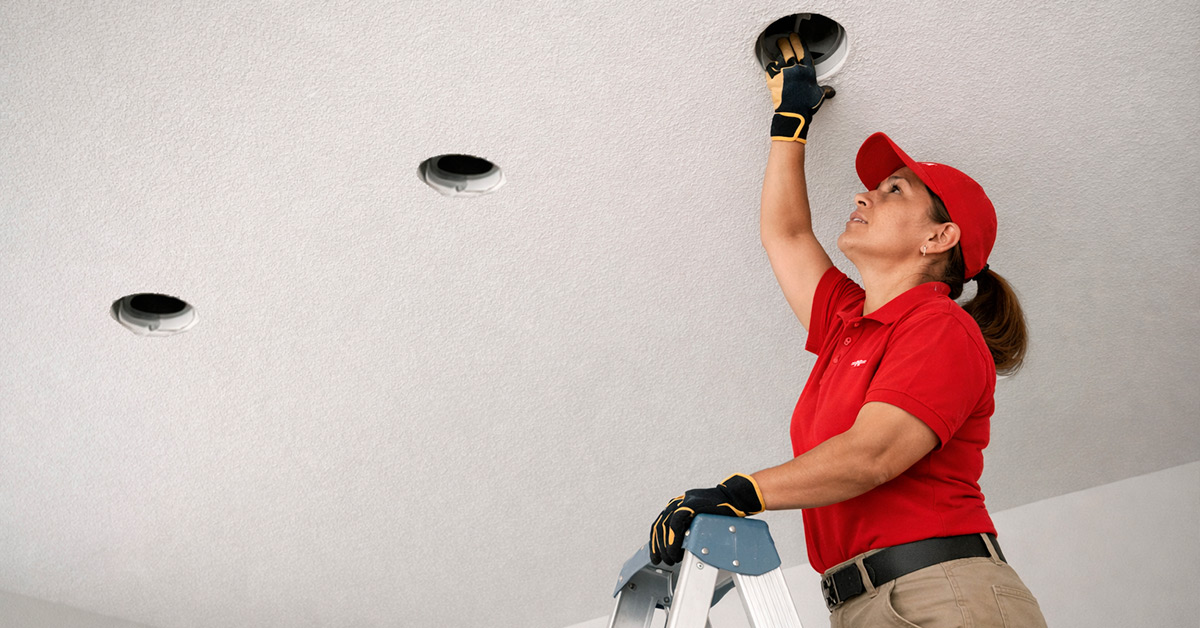 Electrical Repairs in 5 Electrical Repairs in 5