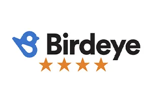 Birdeye
