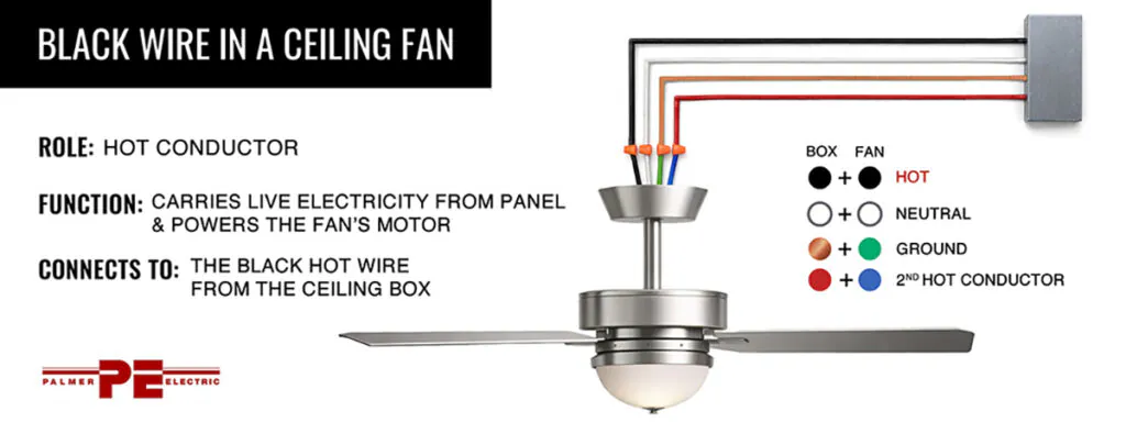 Black Wire in a Ceiling Fan