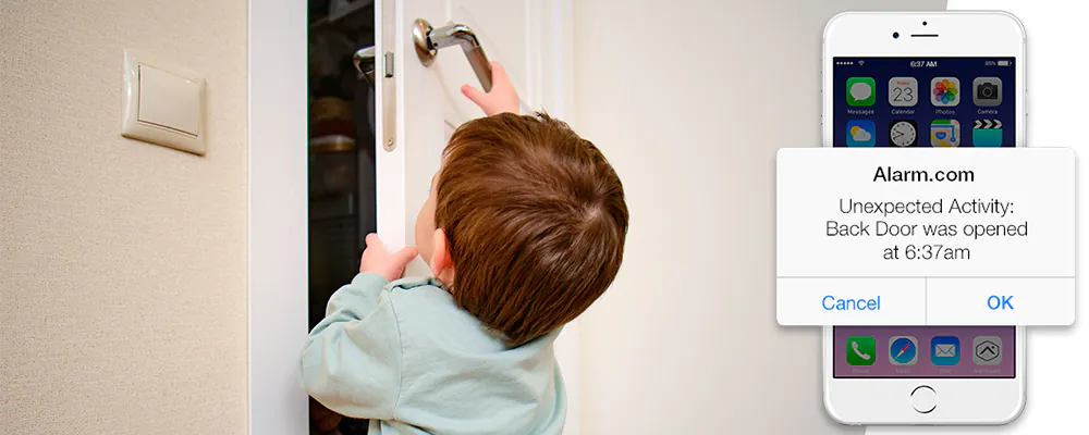 Smart Door Sensors & Window Sensors